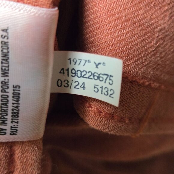 American Eagle 2024 Dreamy Drape Baggy Wide Leg Pants Terracotta Linen Size 18 - Picture 14 of 14